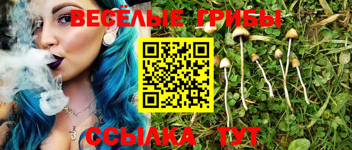 A-PVP Сертолово