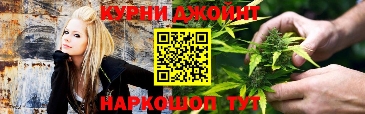 Каннабис семена  МАРИХУАНА ГИДРОПОН  Вход с VPN  Сертолово  Марихуана тримм  Каннабис Bruce Banner 